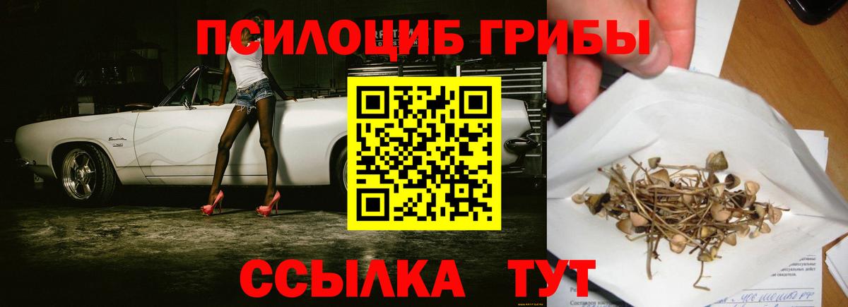 Псилоцибиновые грибы мицелий  как найти закладки  Лесосибирск  Вход с VPN 